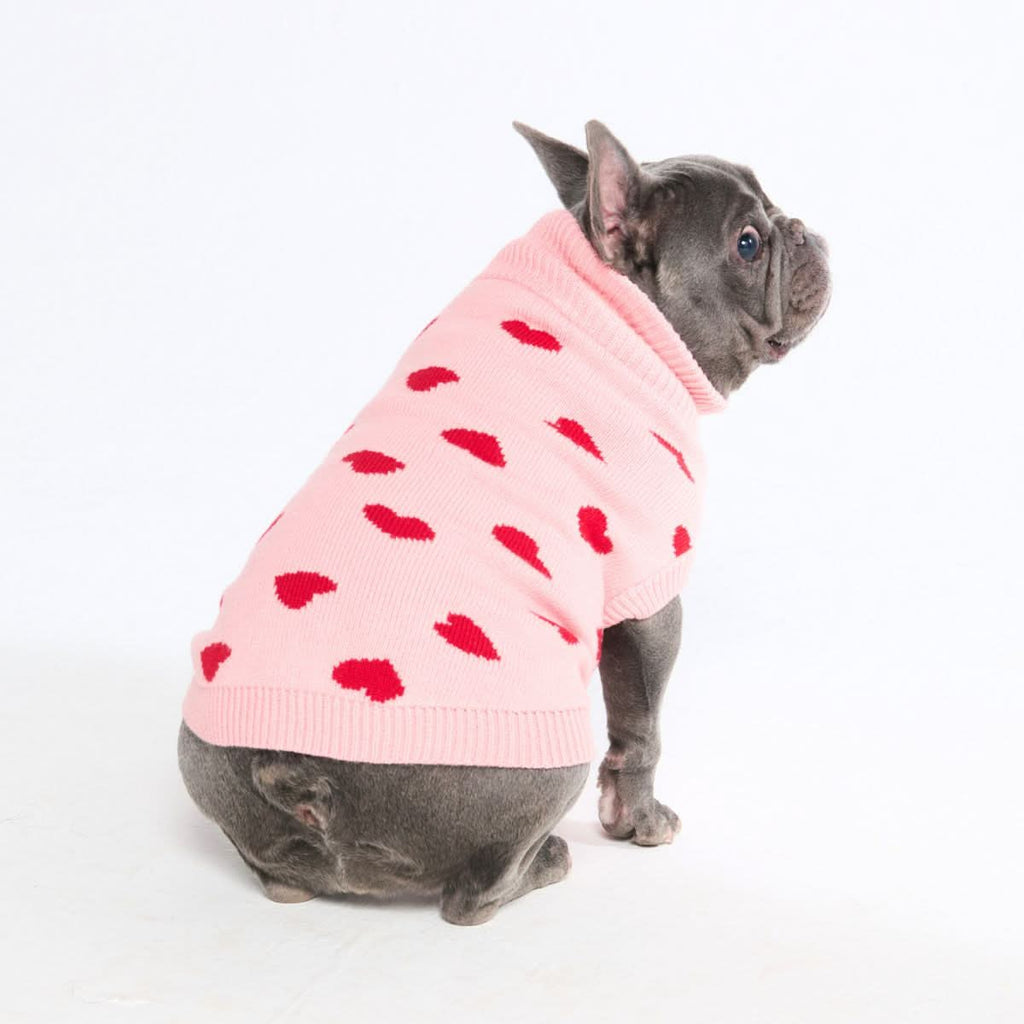 Knit Dog Sweater Prints