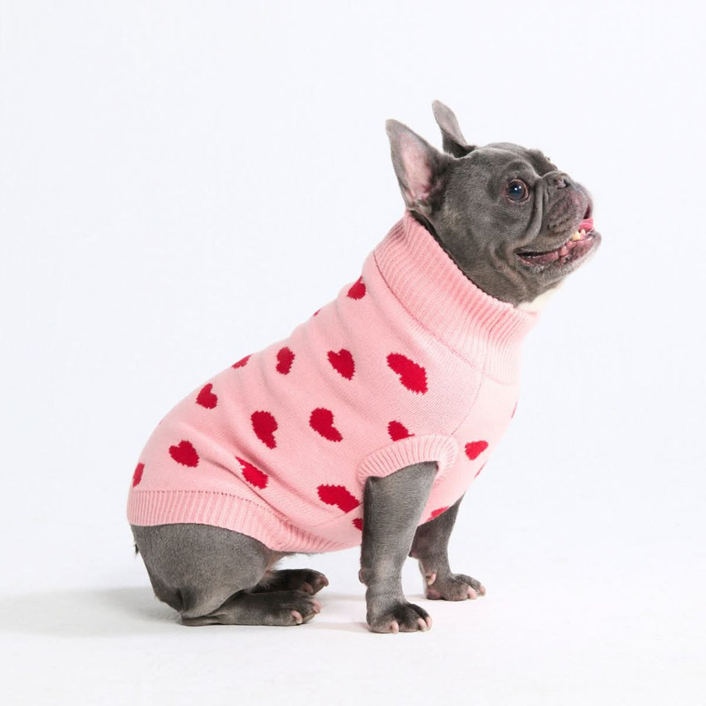 Knit Dog Sweater Prints