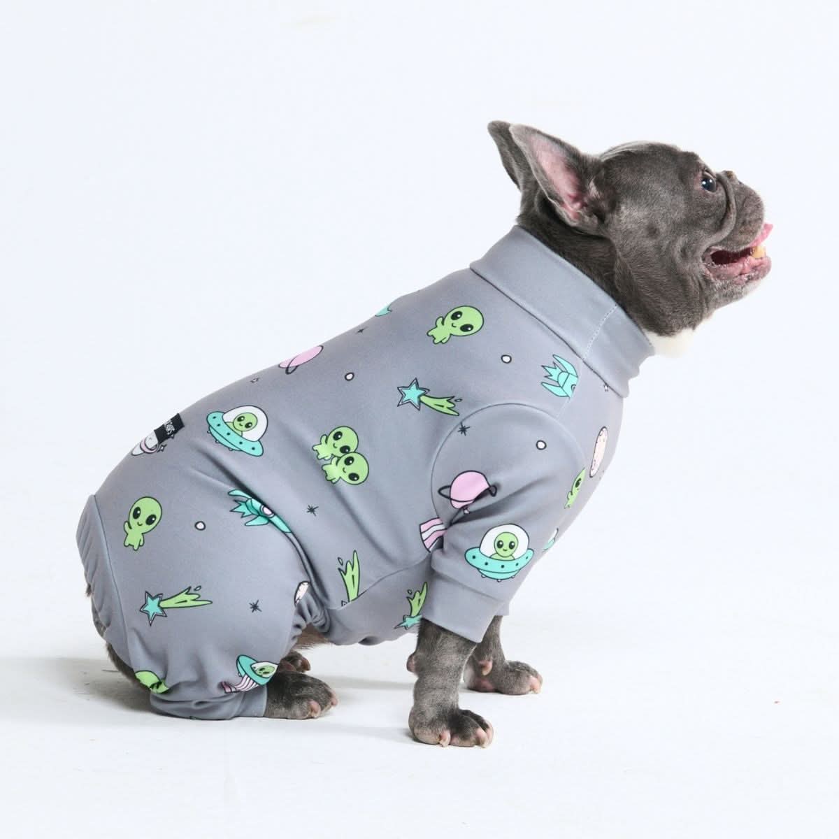 Dog Pajama Prints