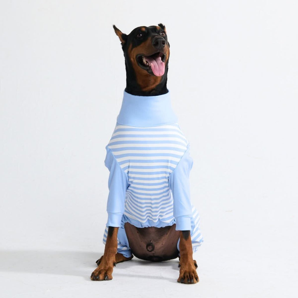 Dog Pajama Prints