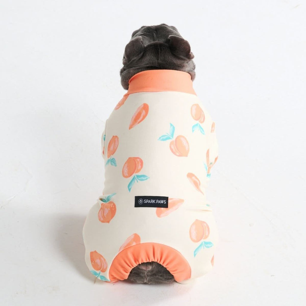 Dog Pajama Prints