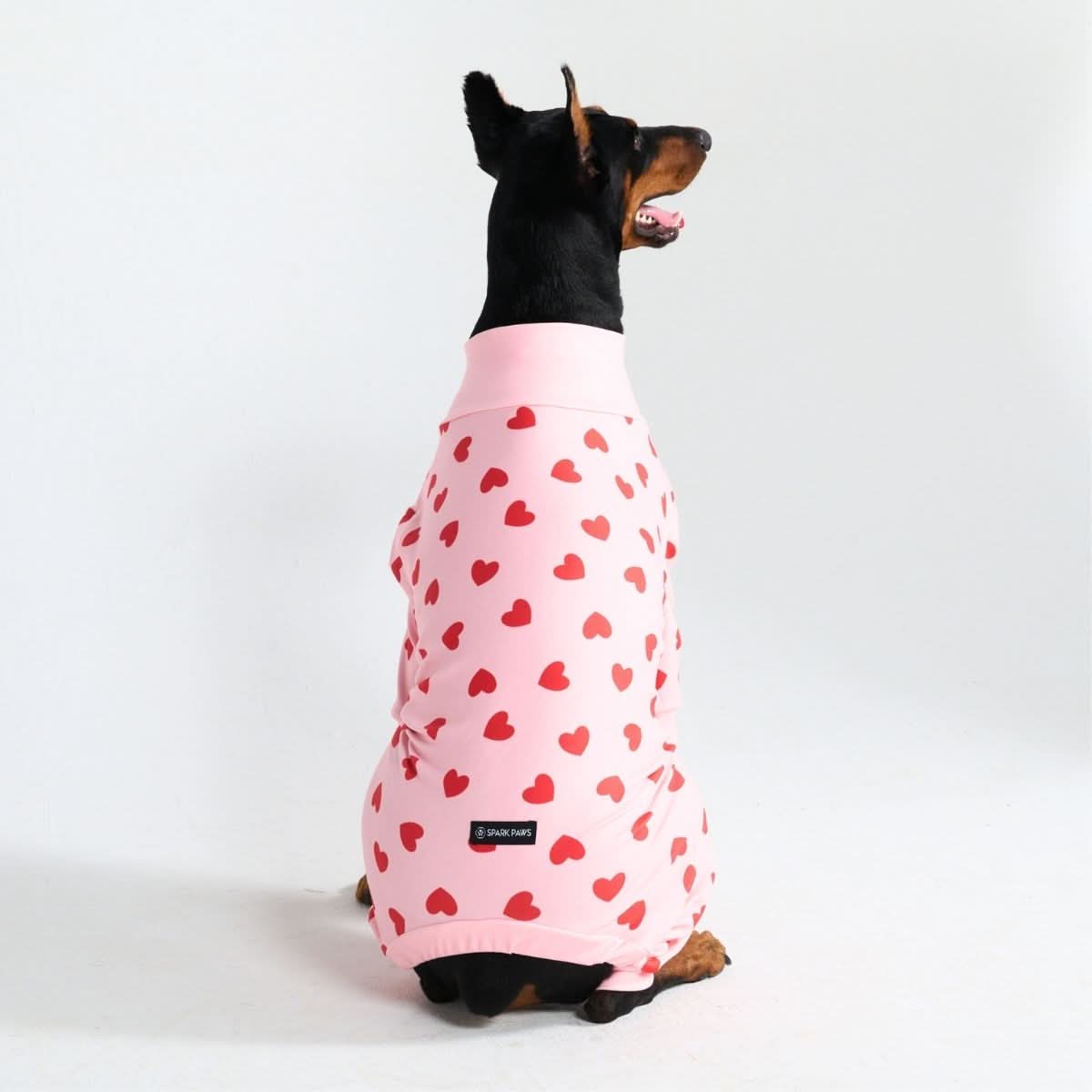Dog Pajama Prints