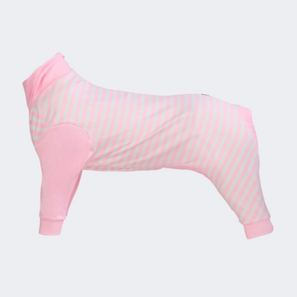 Dog Pajama Prints