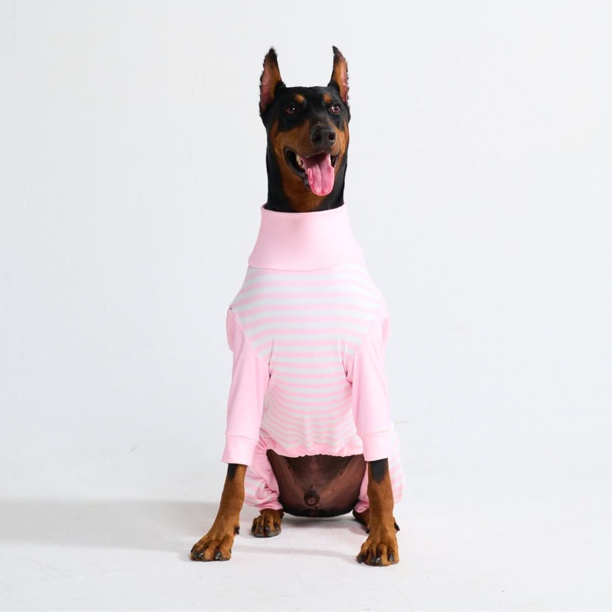 Dog Pajama Prints