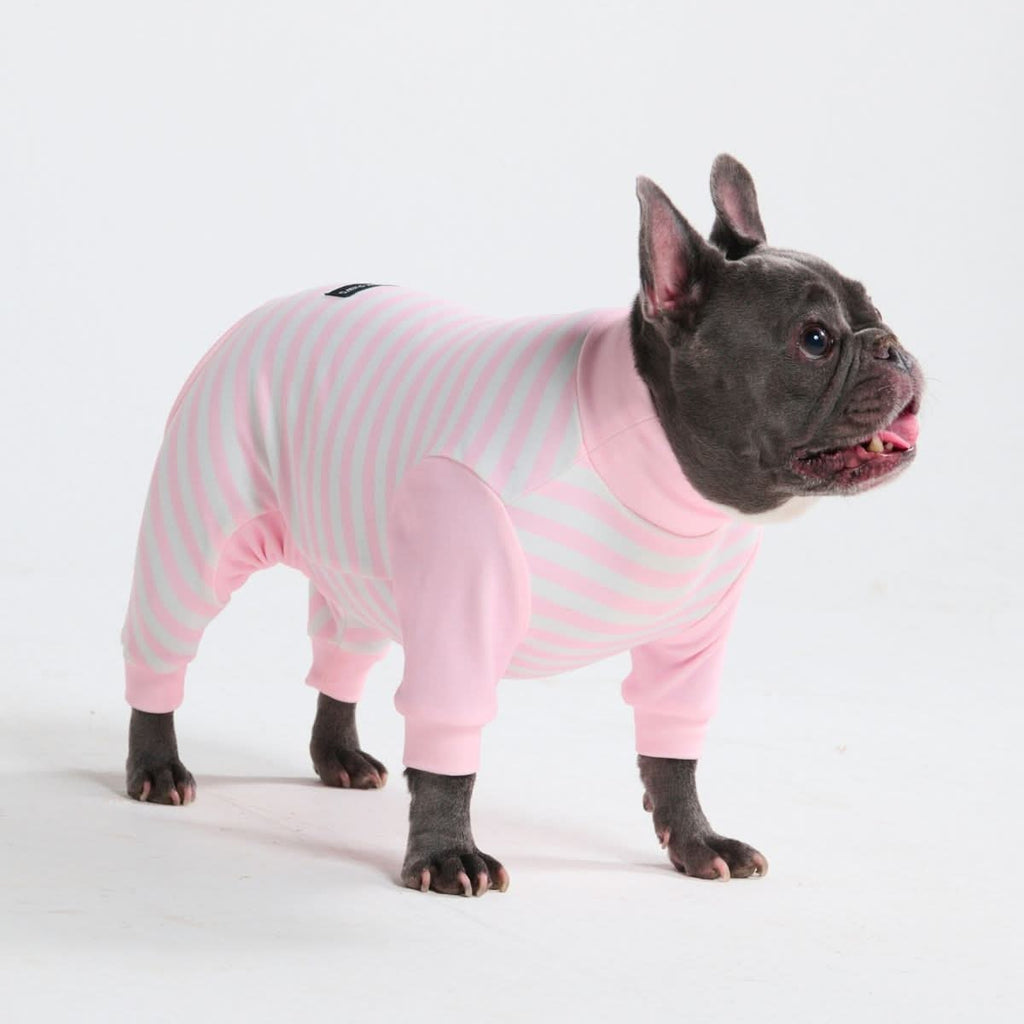 Dog Pajama Prints
