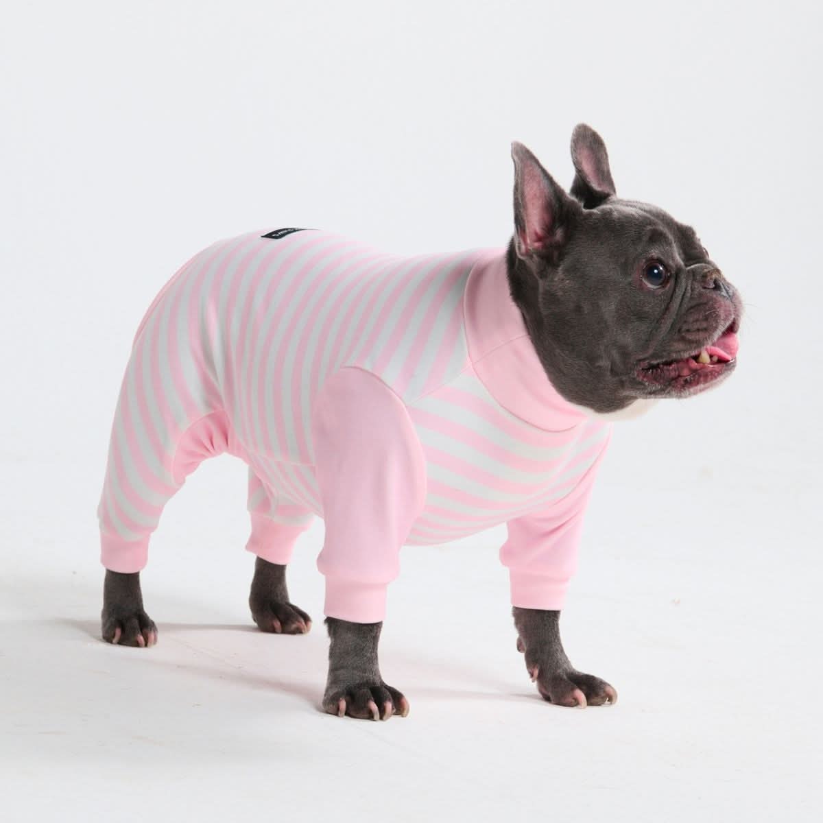 Dog Pajama Prints