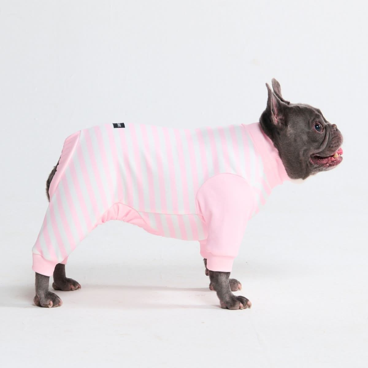 Dog Pajama Prints