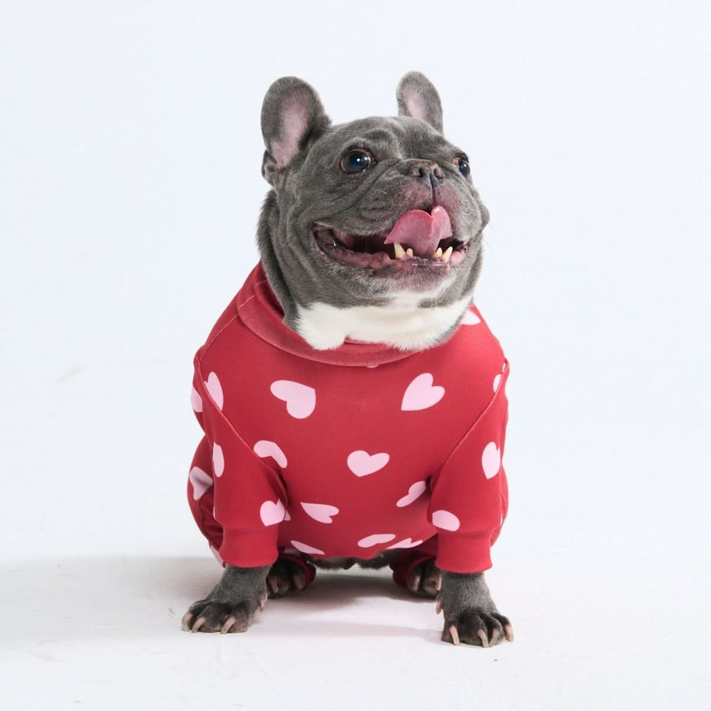 Dog Pajama Prints