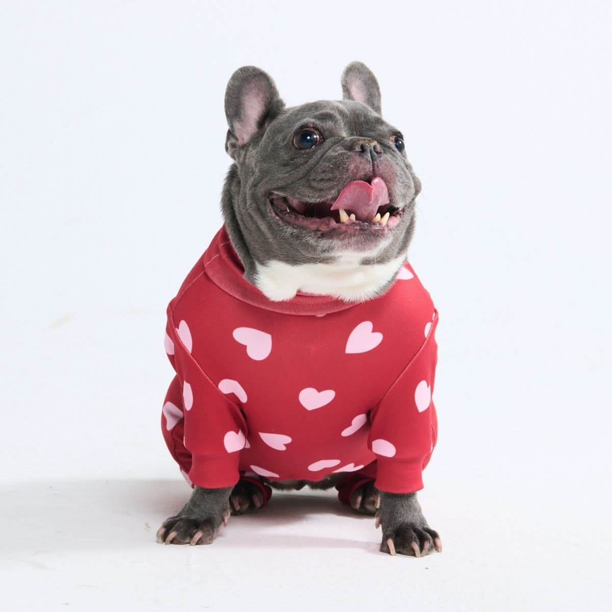 Dog Pajama Prints