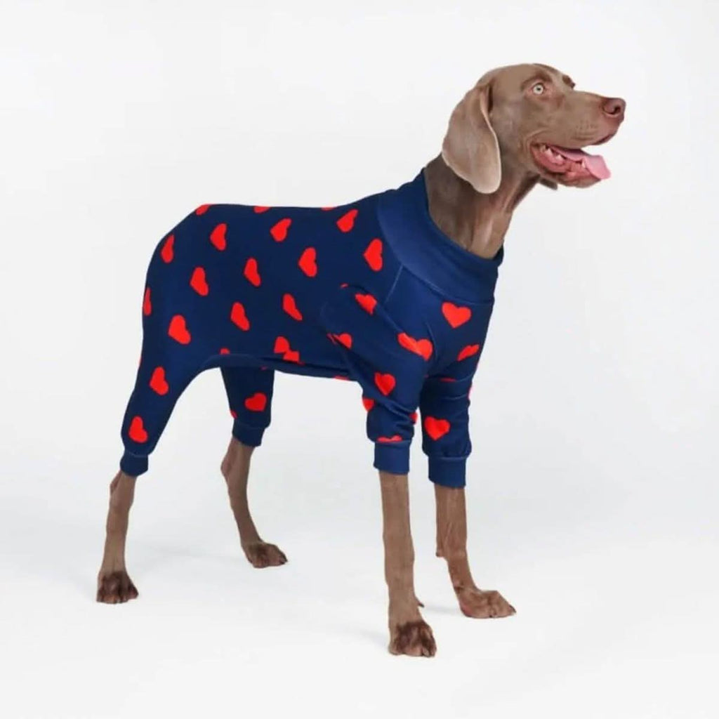 Dog Pajama Prints