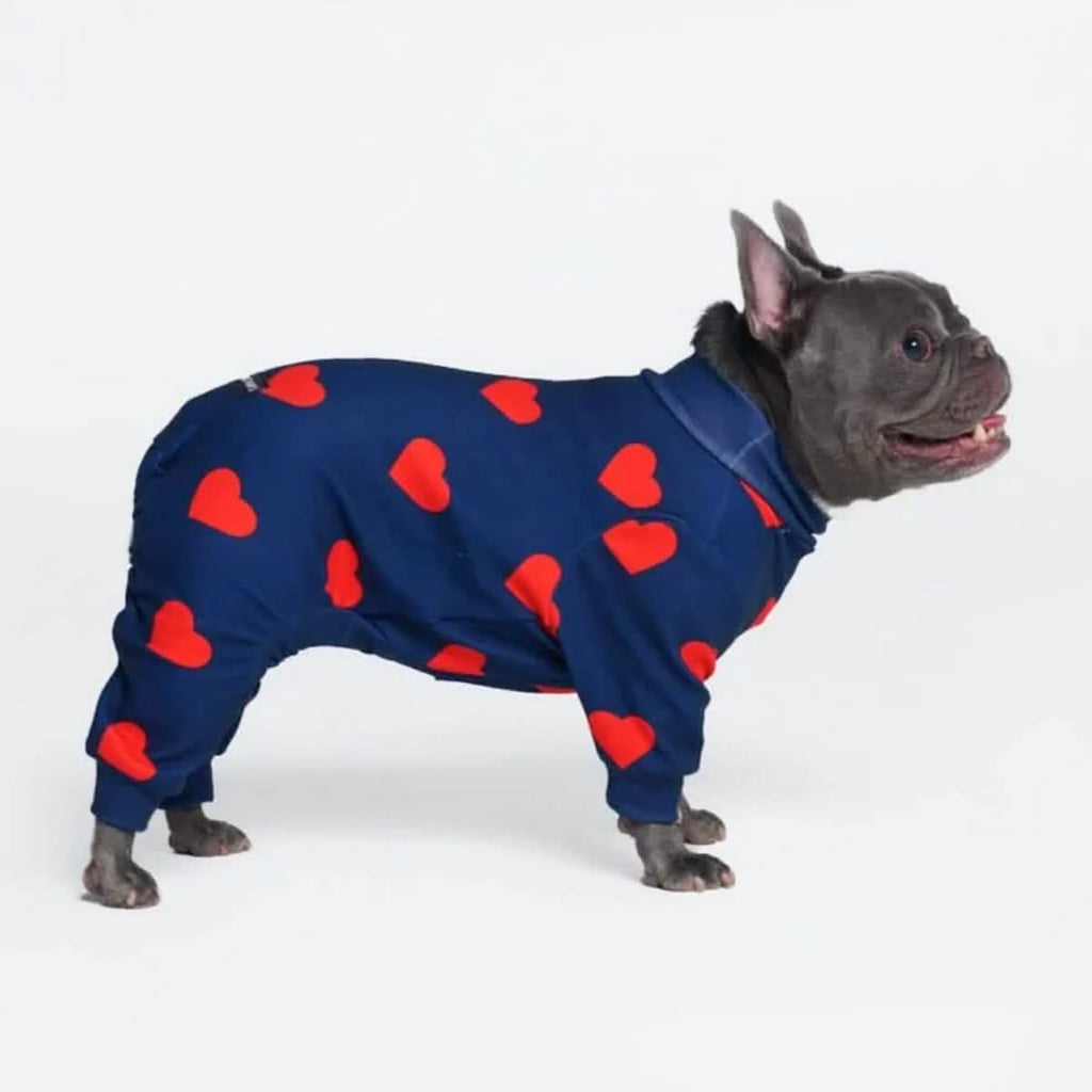 Dog Pajama Prints