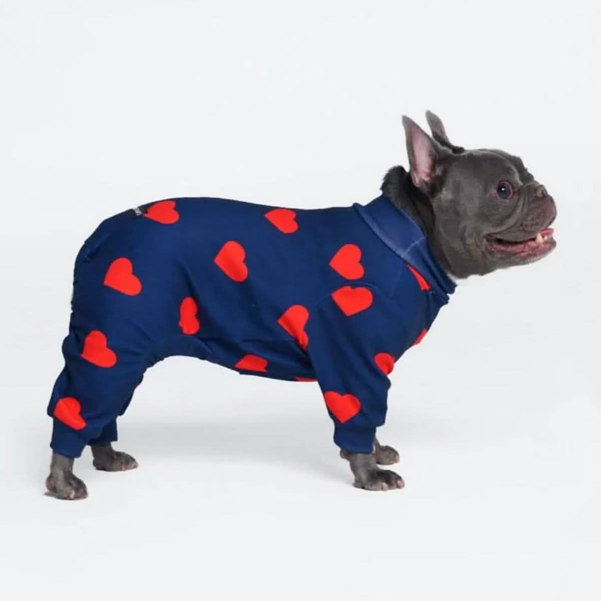 Dog Pajama Prints