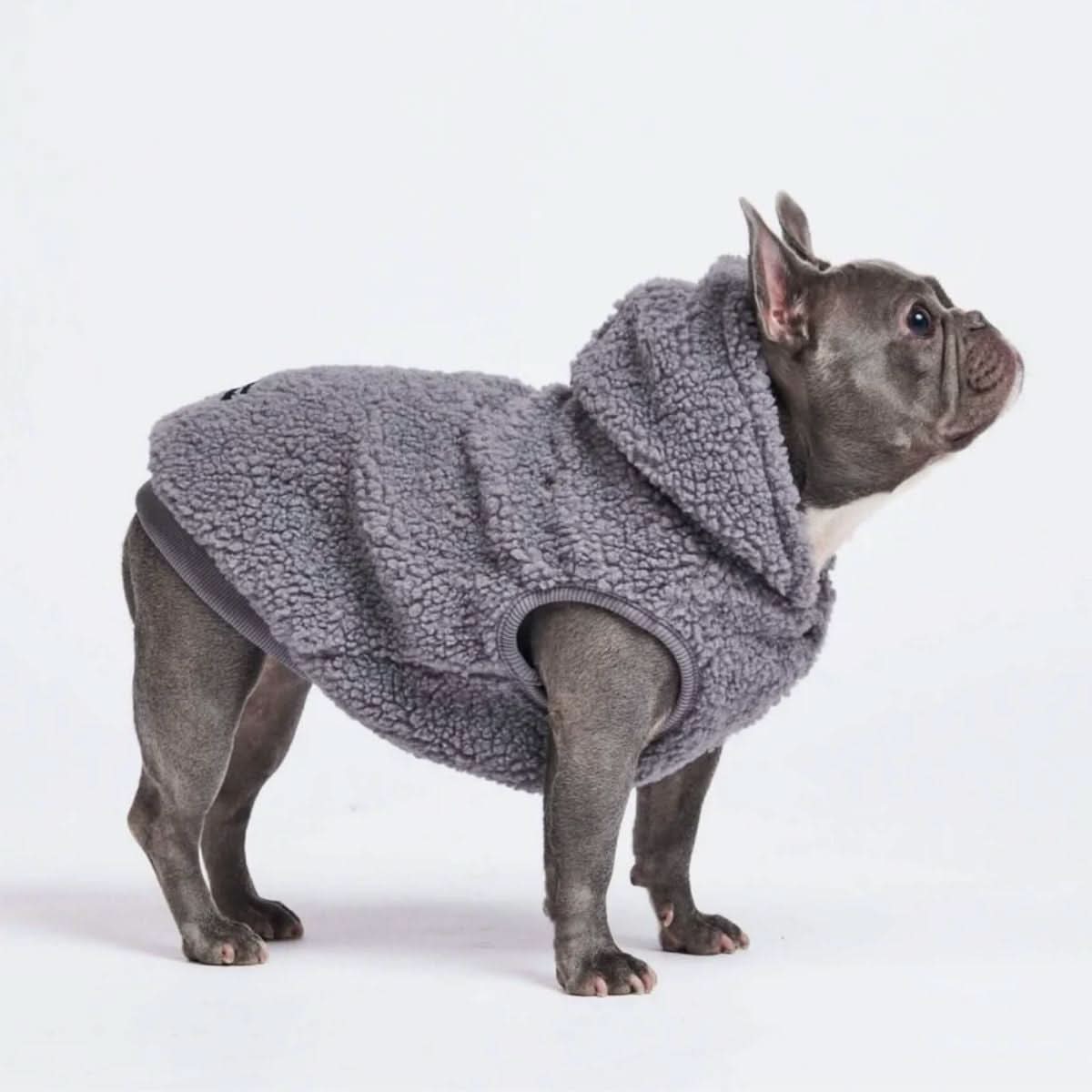 Teddy Sherpa Dog Jackets
