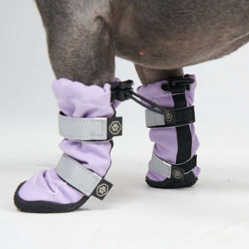 Dog Rainboots. Waterproof Dog Shoes