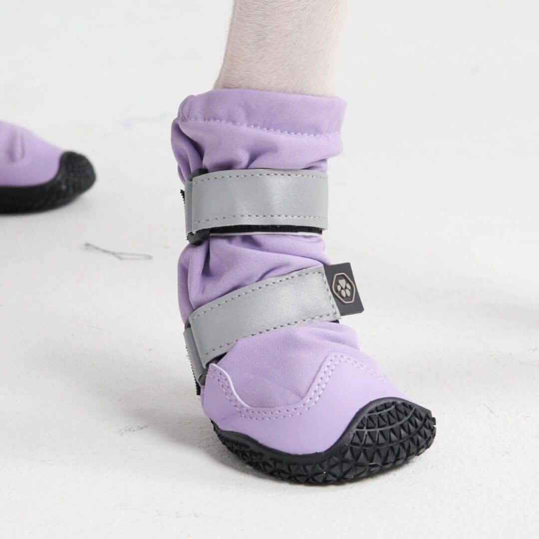 Dog Rainboots. Waterproof Dog Shoes