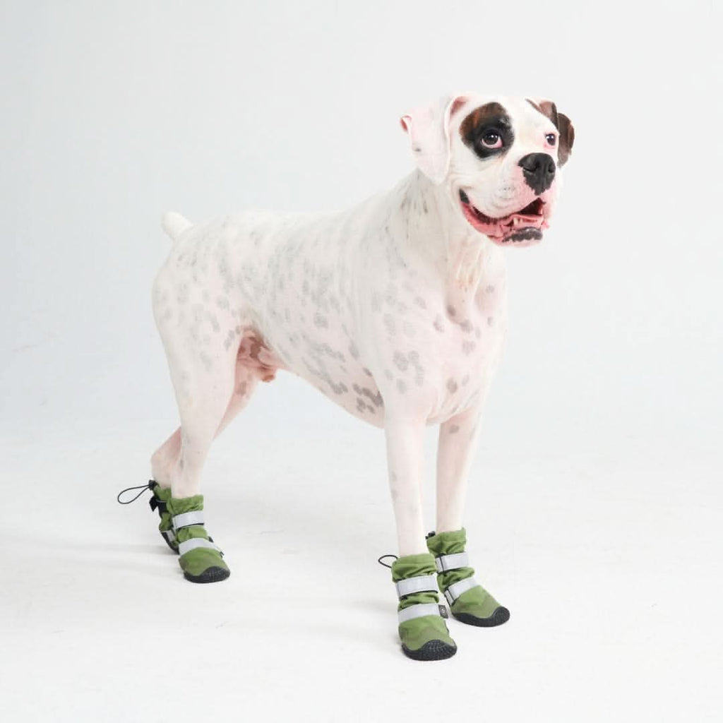 Dog Rainboots. Waterproof Dog Shoes