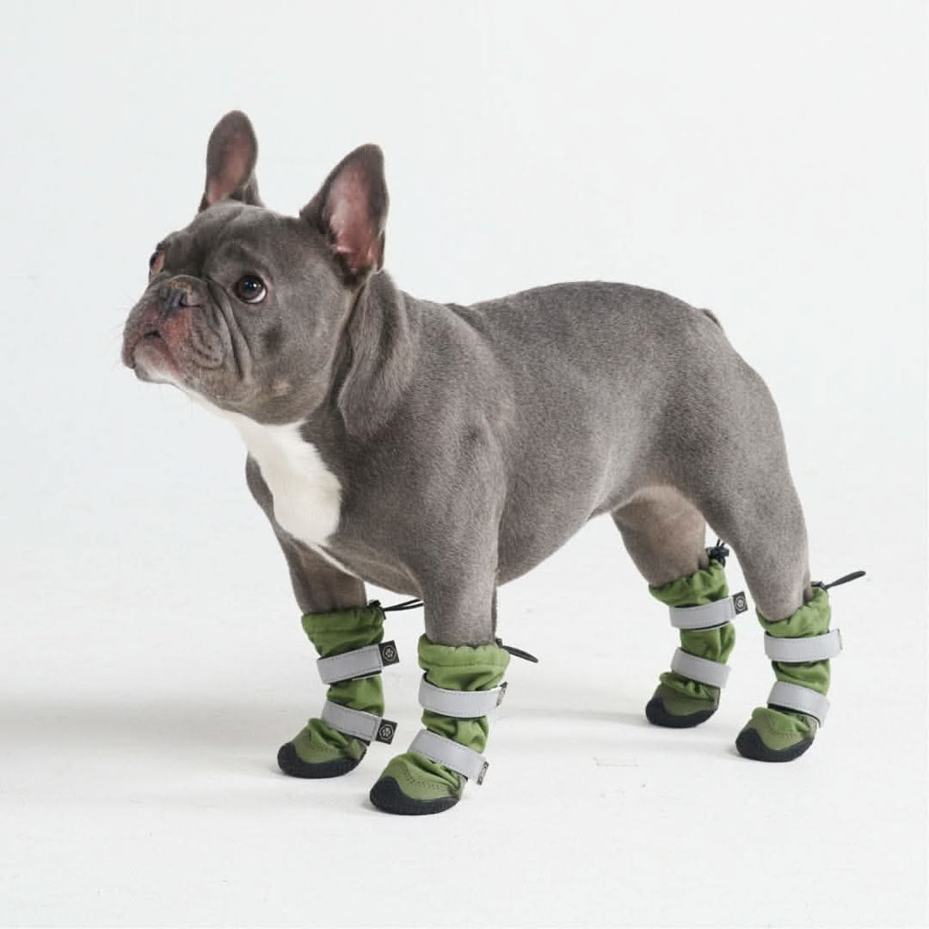 Dog Rainboots. Waterproof Dog Shoes