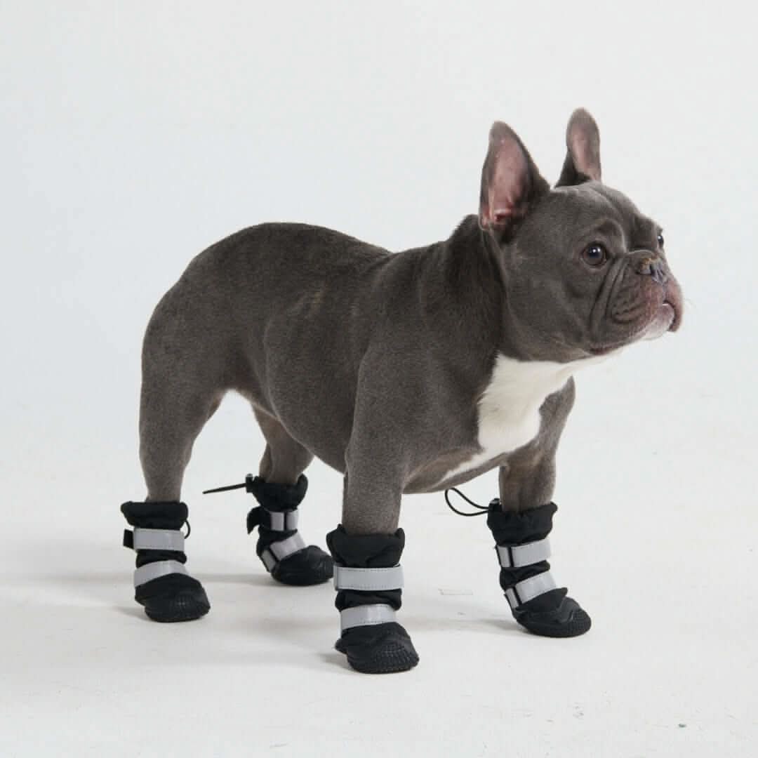 Dog Rainboots. Waterproof Dog Shoes