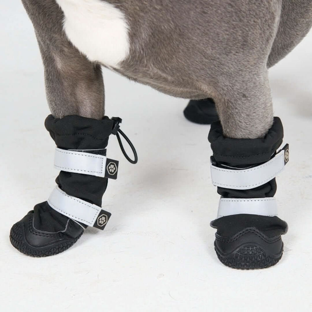 Dog Rainboots. Waterproof Dog Shoes