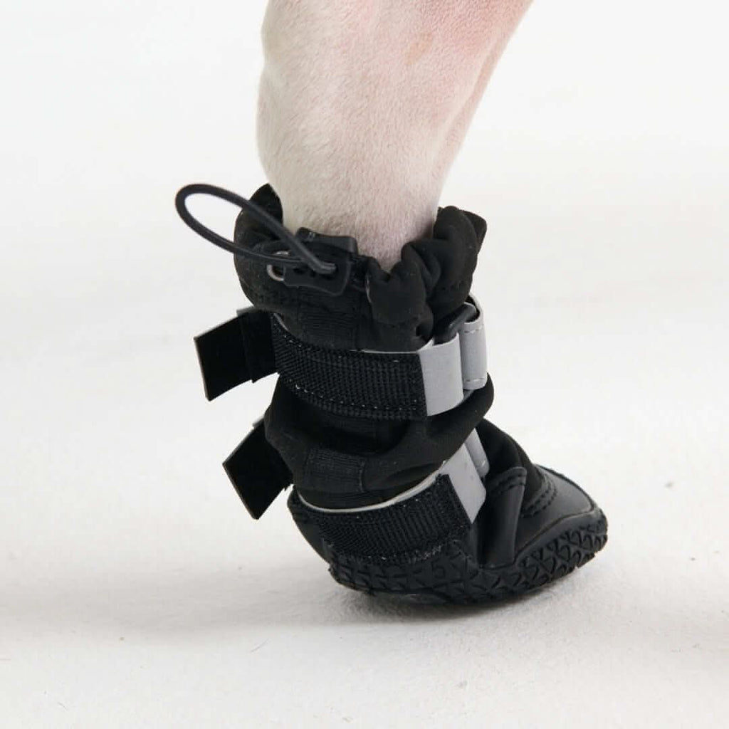 Dog Rainboots. Waterproof Dog Shoes