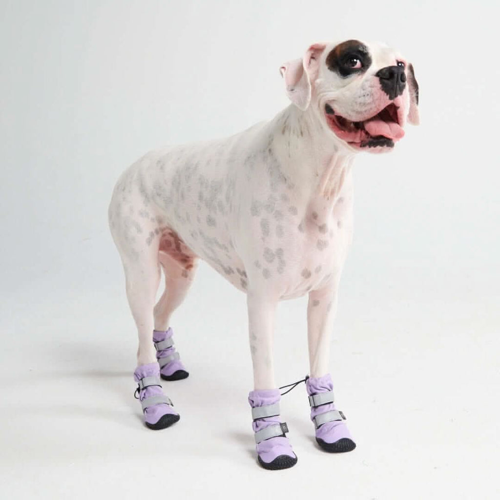 Dog Rainboots. Waterproof Dog Shoes