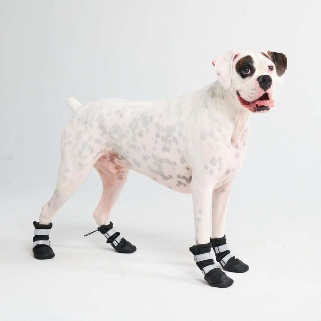 Dog Rainboots. Waterproof Dog Shoes