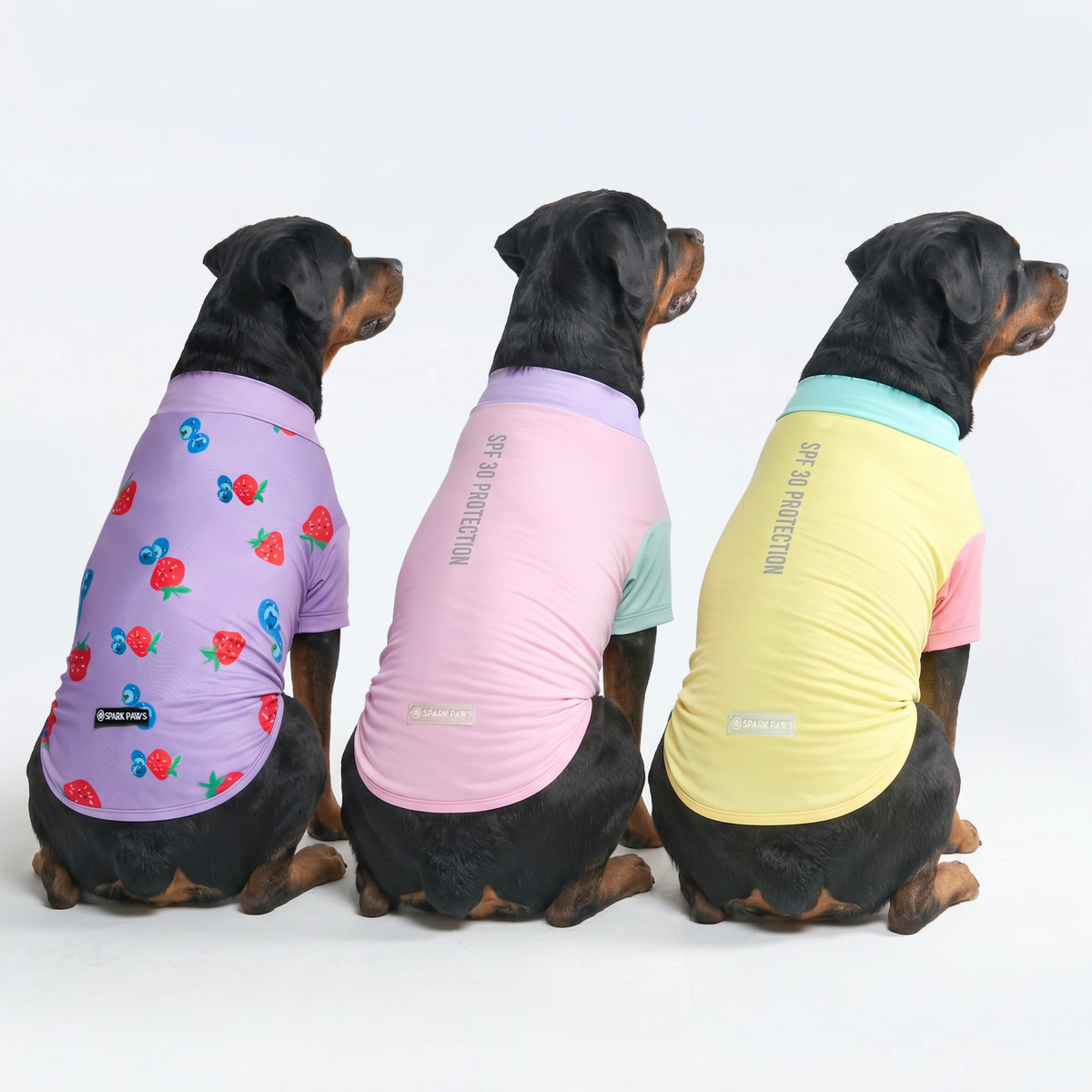 Sunblock T-Shirt 3 Pack