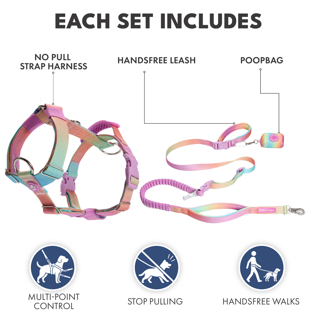 Comfort Control No-Pull Dog Harness and Multipurpose Leash Sets