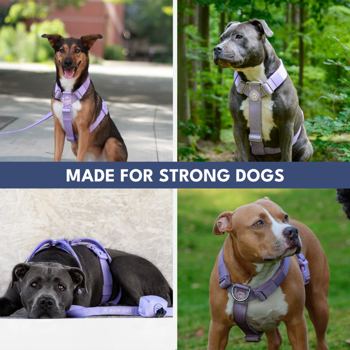 Comfort Control No-Pull Dog Harness and Multipurpose Leash Sets