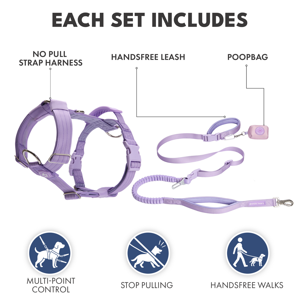 Comfort Control No-Pull Dog Harness and Multipurpose Leash Sets