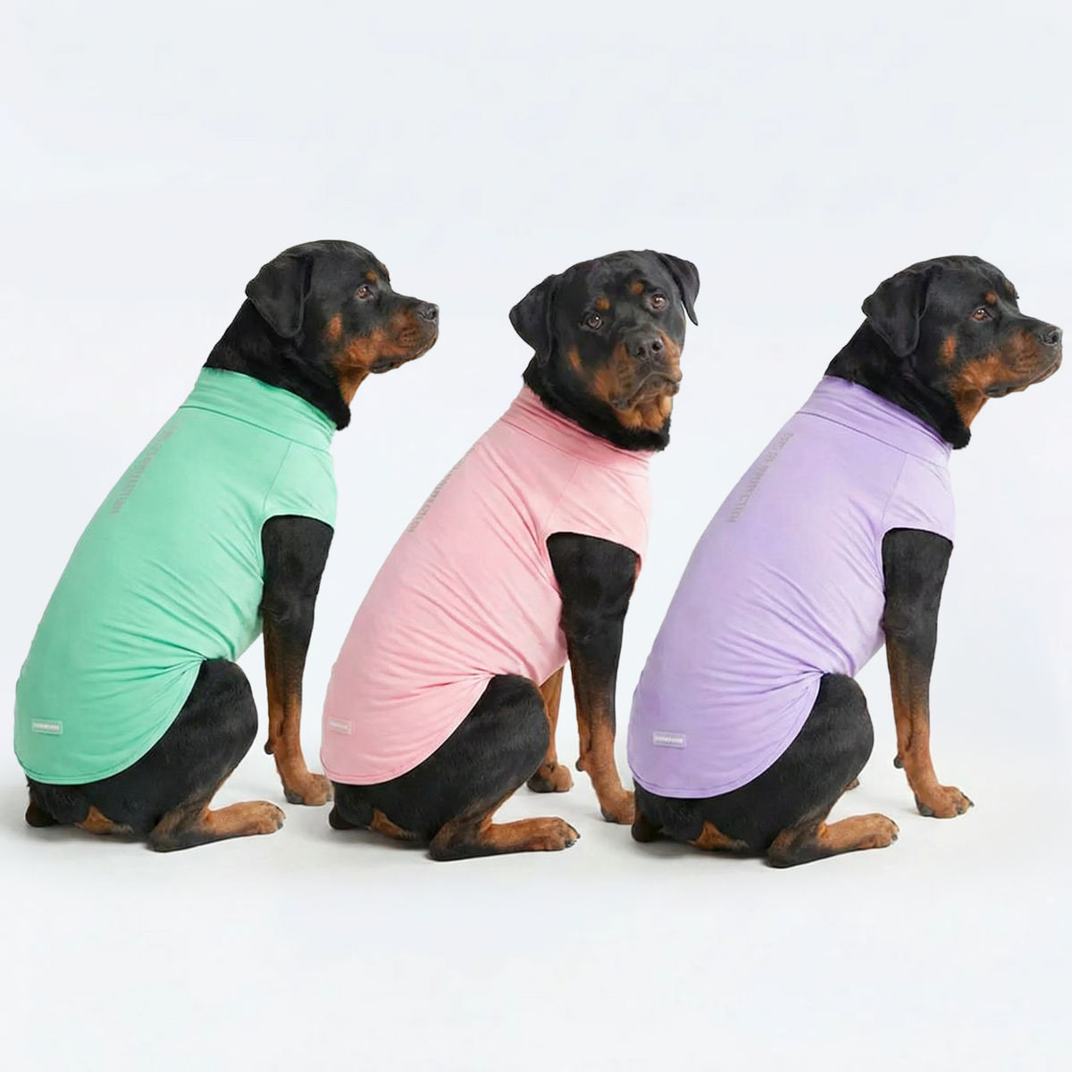 Sunblock T-Shirt 3 Pack