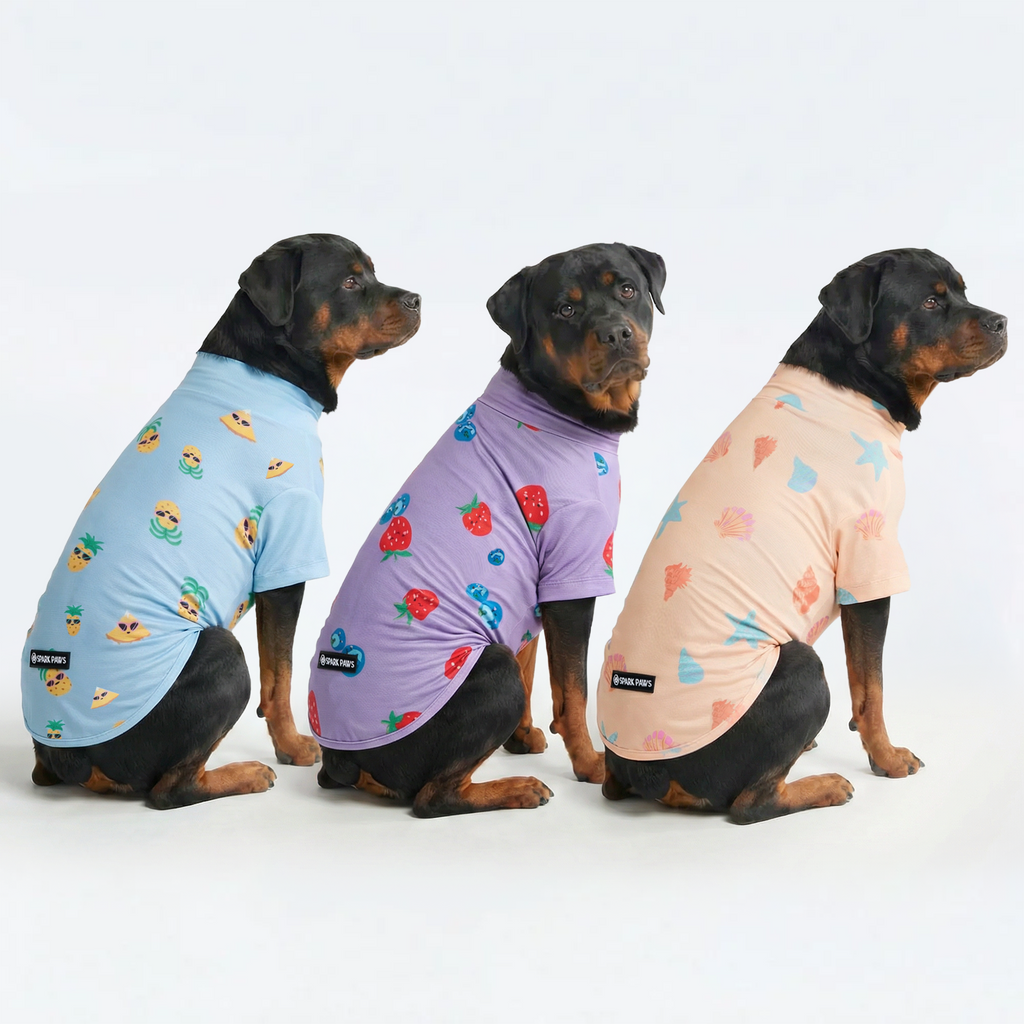Sunblock T-Shirt 3 Pack