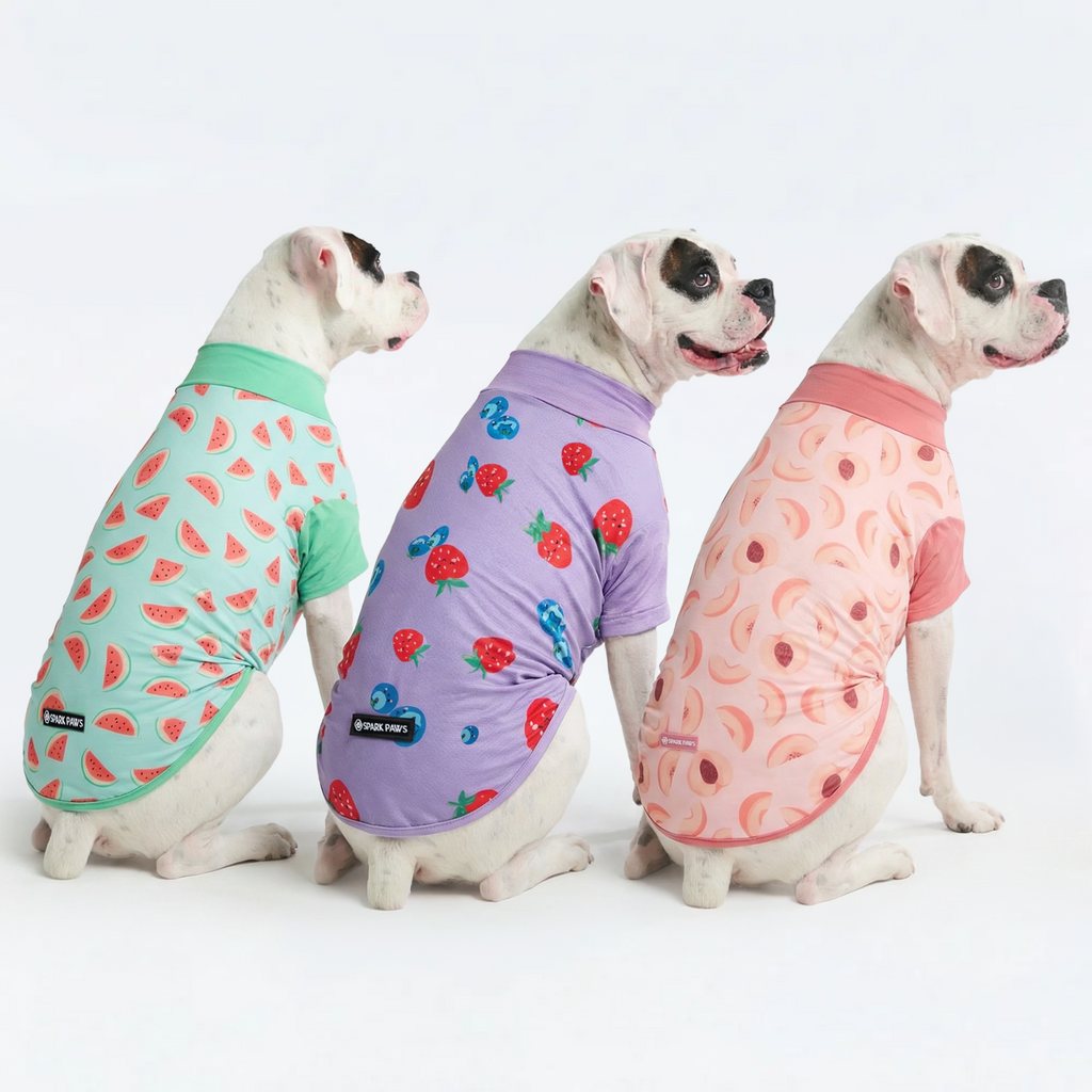 Sunblock T-Shirt 3 Pack