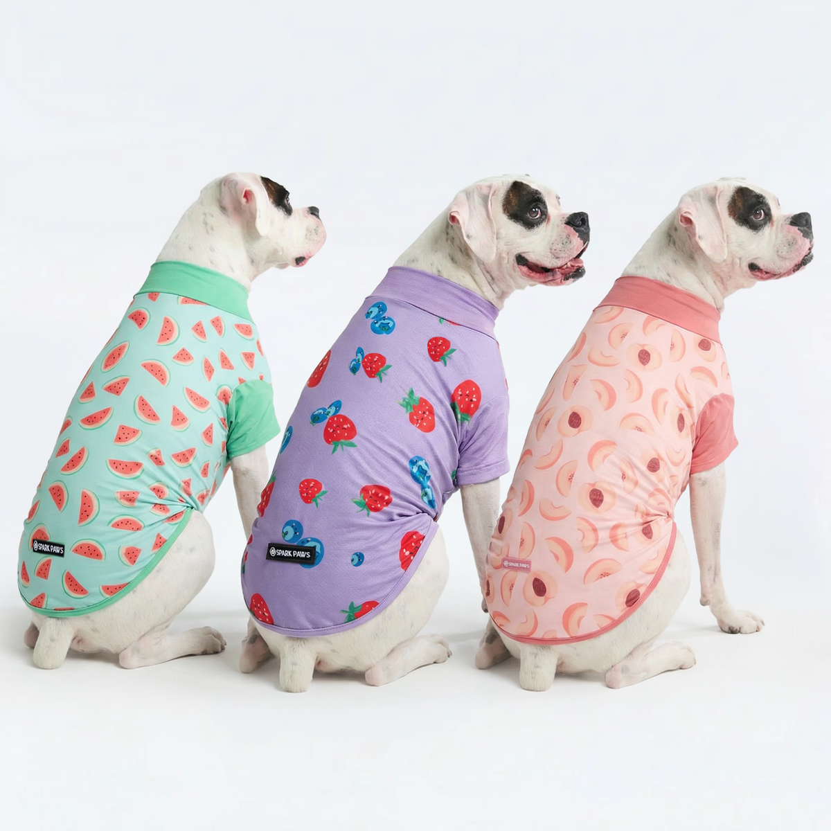 Sunblock T-Shirt 3 Pack