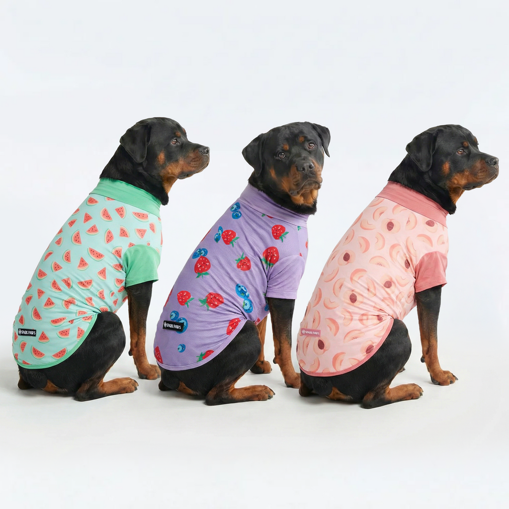 Sunblock T-Shirt 3 Pack