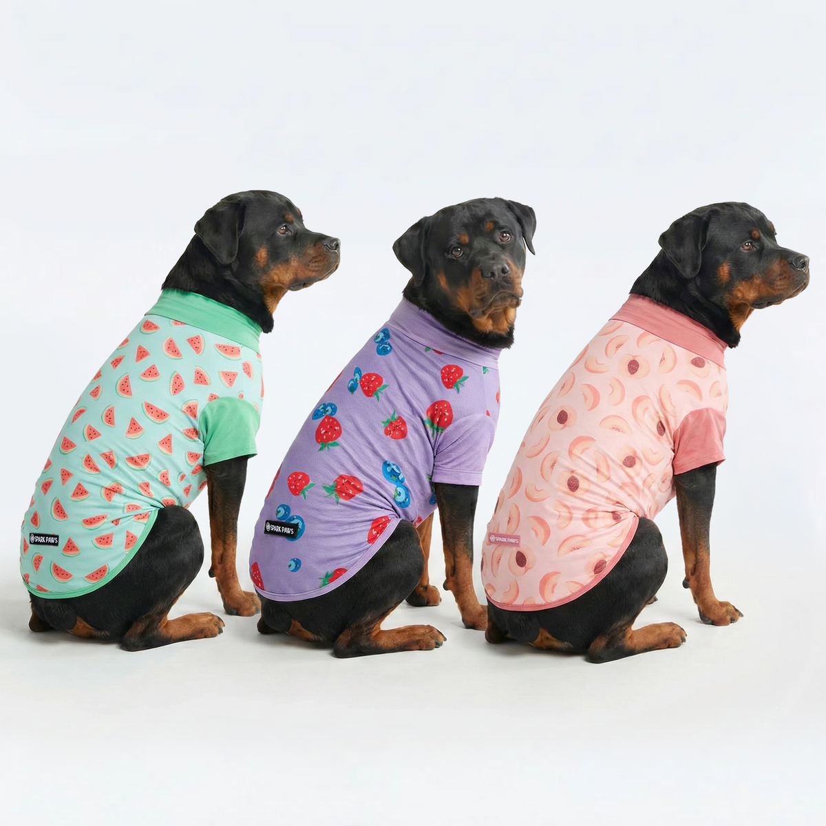 Sunblock T-Shirt 3 Pack